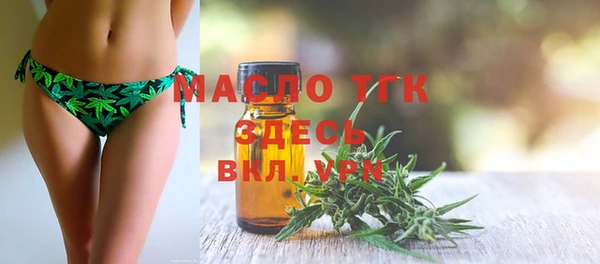 хмурый Верея