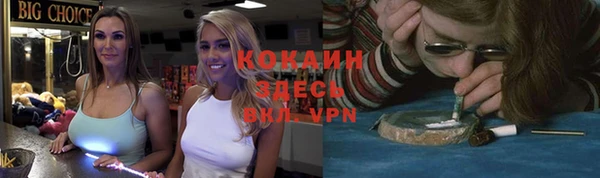 хмурый Верея