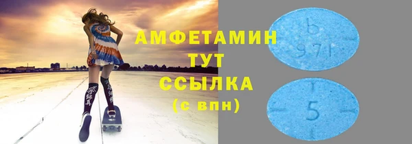 хмурый Верея