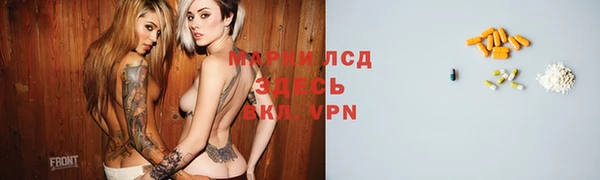 хмурый Верея