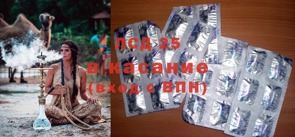хмурый Верея