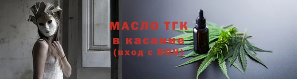 хмурый Верея