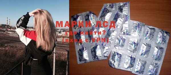 хмурый Верея