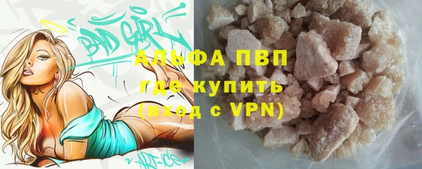 хмурый Верея