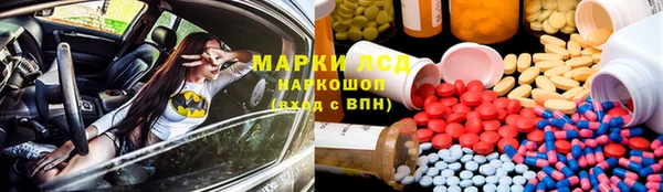 хмурый Верея