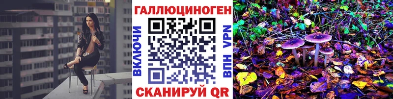 Купить закладки  Тара  Псилоцибиновые грибы MAGIC MUSHROOMS 